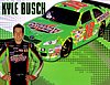 Card 2009 Sprint Cup-Interstate (NS).jpg