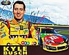 Card 2013 Sprint Cup-M&M's (S).JPG