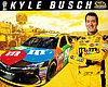 Card 2016 Sprint Cup-M&M's (NS).jpg