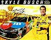 Card 2016 Sprint Cup-M&M's (S).jpg