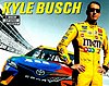 Card 2020 Nascar Cup-M&M's (NS).jpg