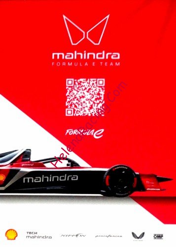 Card 2025 Formula E Verso (NS).jpg