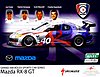 Card 2010 Daytona 24 h (NS).jpg