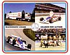 Card 1981 CART (NS).jpg