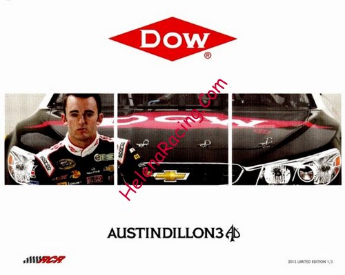 Card 2015 Sprint Cup-Edition1 (NS).JPG