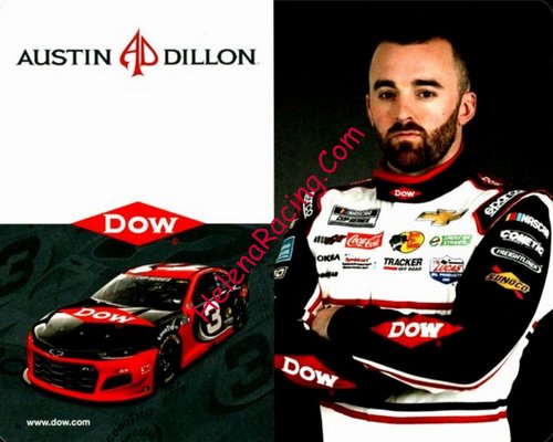 Card 2020 Nascar Cup-Dow (NS).jpg