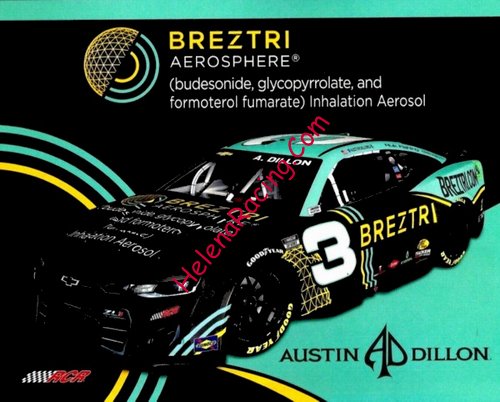 Card 2022 Nascar Cup-Breztri (NS).jpg