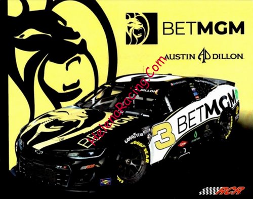 Card 2023 Nascar Cup-Bet MGM (NS).jpg