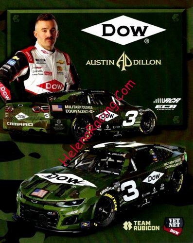 Card 2023 Nascar Cup-Dow (NS).jpg
