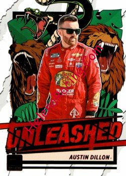 2023 Unleashed.jpg