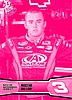 2013 Pass-Pink.JPG