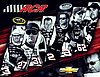 Card 2014 Sprint Cup-RCR (S).JPG
