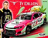 Card 2023 Nascar Cup-Raze Tea-New (NS).jpg