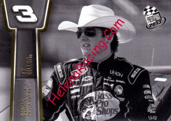 2013 Pass-Black.JPG