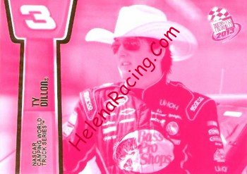 2013 Pass-Pink.JPG