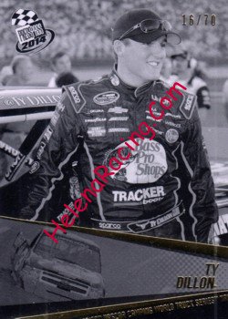 2014 Pass-Black.JPG