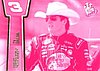 2013 Pass-Pink.JPG