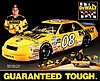 Card 1994 Busch Series (NS).jpg