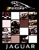 Card 2010 ALMS-GT2 (NS).jpg