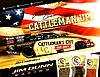 Card 2019 NHRA-Funny Car-Owner (S).jpg